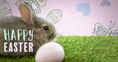 快乐复活节文本复活节兔子蛋前面模式