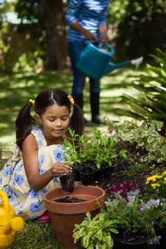 女孩种植能祖母浇水植物