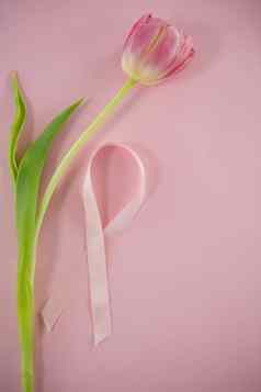 开销视图乳房癌症意识丝带郁金香