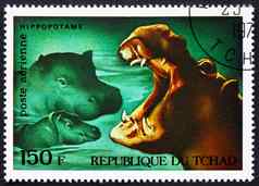 邮资邮票乍得河马非洲野生动物
