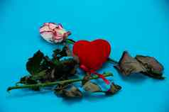 破碎的玫瑰叶子蓝色的背景破碎的女人的心