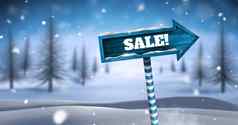 出售文本木路标圣诞节冬天景观