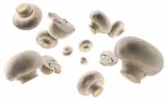 白色蘑菇悬浮白色背景