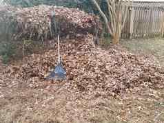 耙堆肥桩下降棕色（的）叶子