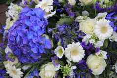 白色蓝色的花安排