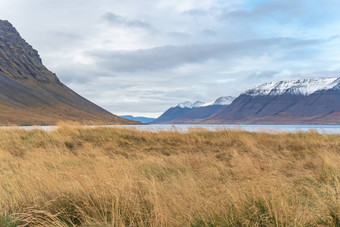 westfjords冰岛视图峡湾雪覆盖山上衣草地秋天