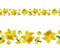春天黄色的水仙花没完没了的横幅
