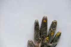叶片草黄色的花内部医疗手套