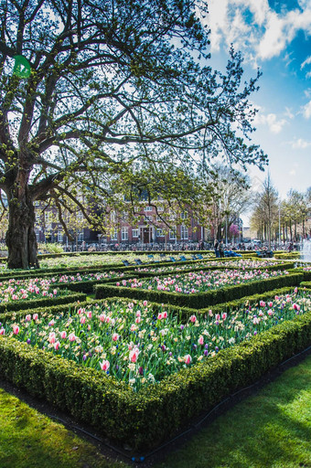 国立博物馆花园周围的环境阿姆斯特丹