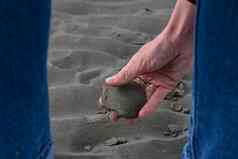 关闭手女人收集贝壳沙子海滩挑选贝壳海滩爱尔兰