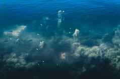 深蓝色的海海洋地板上背景摘要模式纹理颜色水生生物海生活背景自然壁纸设计元素