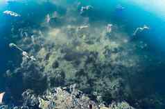 深蓝色的海海洋地板上背景摘要模式纹理颜色水生生物海生活背景自然壁纸设计元素