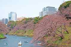 自然户外公园休闲船日本