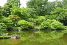 植物水池塘反射日本Zen花园