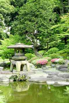 日本户外石头灯笼花植物Zen花园