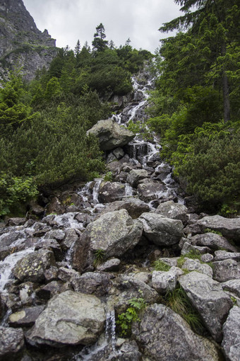 瀑布阿尔卑斯山脉山石头前面高岩石覆盖绿色植物多云的天空背景瀑布欧洲阿尔卑斯山脉欧洲