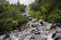 瀑布阿尔卑斯山脉山石头前面高岩石覆盖绿色植物多云的天空背景瀑布欧洲阿尔卑斯山脉欧洲