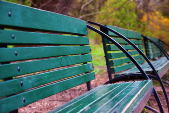 绿色木长椅秋天黄色的城市公园基辅乌克兰特写镜头的角度来看