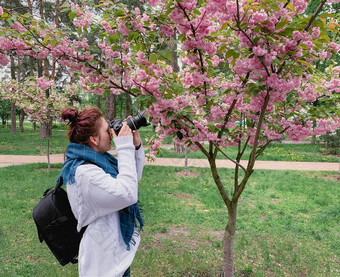 年轻的快乐微笑红发女人白色毛衣蓝色的围巾需要<strong>图片</strong>开花粉红色的樱花树公园城市基辅乌克兰