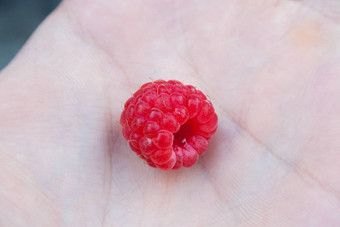 红色的树莓手