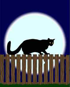 猫栅栏