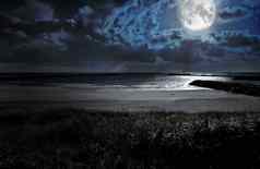风景海岸晚上月亮云自然照片景观摄影晚上时间晚上月亮灯