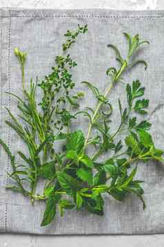 草本植物香料新鲜的草本植物选择包括迷迭香百里香