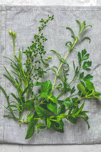 草本植物香料新鲜的草本植物选择包括迷迭香百里香