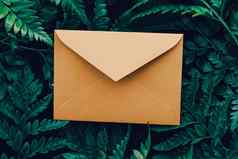 空白信封绿色叶子自然纸卡背景对应通讯