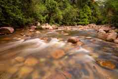 慢运动水流休闲森林区域河sedim居林kedah