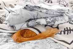 可爱的姜猫隐藏了床上毛茸茸的宠物睡觉毯子毛茸茸的尾巴可见舒适的早....睡觉前舒适的首页