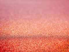红色的摘要背景闪亮的闪闪发光的粉红色的节日斯帕克利