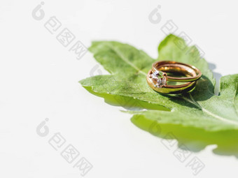 一对婚礼订婚环钻石绿色叶象征爱婚姻白色背景复制空间