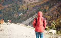 后视图成人女人只有旅行者红色的夹克路旅行走污垢路包围森林山户外活动生活方式夏天季节背景复制空间