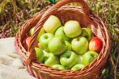 柳条篮子绿色苹果红色的梨草