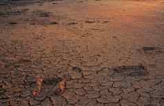 气候改变干旱土地水危机干旱气候架