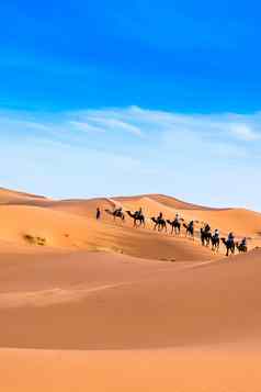 merzouga撒哈拉沙漠沙漠摩洛哥