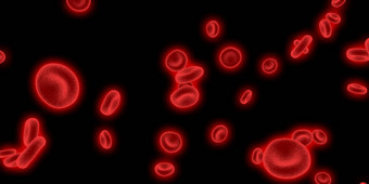 红色的血细胞