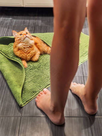 女人进入浴室可爱的姜猫说谎浴室地板上覆盖<strong>绿色地毯</strong>毛茸茸的有趣的宠物沐浴温暖的房间