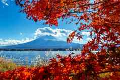 富士山河口湖湖秋天日本