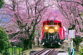 浪漫的火车运行<strong>隧道</strong>樱桃花朵《京都议定书》日本