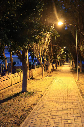 人行道公园小巷树光灯笼