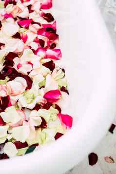 白色经典浴玫瑰花瓣