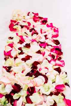 白色经典浴玫瑰花瓣