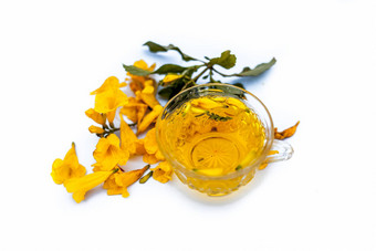 关闭Herbal有机新鲜的提取茶黄蔓花孤立的白色透明的玻璃杯生花