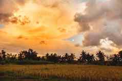 上升字段巴厘岛岛日落月亮不同的形状的云印尼