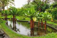 水宫提尔塔恒河具有里程碑意义的巴厘岛卡朗阿森印尼冬天多雨的季节