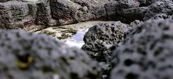 宏拍摄火山黑色的岩石海滩济州岛岛南韩国