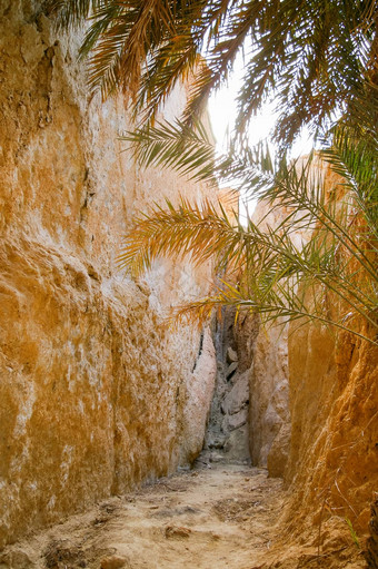 岩石绿洲切比卡著名的具有里程碑意义的撒哈拉沙漠沙漠tunisi