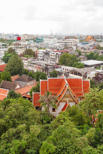 河船穿越潮phraya河曼谷泰国泰国房子摩天大楼背景城市景观早期有雾的早....